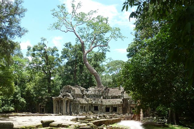 088-Siem-Reap-158-angkor.jpg - Angkor, Cambodja